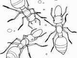 Bug Jar Coloring Page Ant Coloring Pages Printable for Kids Preschool