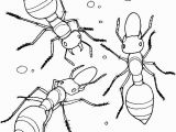Bug Jar Coloring Page Ant Coloring Pages Printable for Kids Preschool