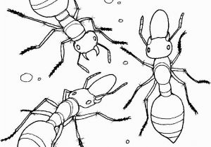 Bug Jar Coloring Page Ant Coloring Pages Printable for Kids Preschool