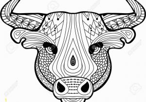 Bull Head Coloring Page Bull Head Coloring Page 6124