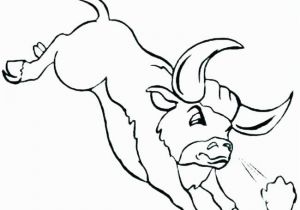 Bull Head Coloring Page Bull Head Coloring Page Bull Head Coloring Page Bulls Coloring