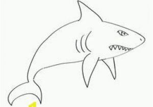 Bull Shark Coloring Page 16 Best Sharks Coloring Pages Images