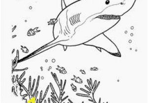 Bull Shark Coloring Page 233 Best Kk Sharks Images In 2019