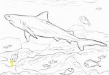 Bull Shark Coloring Page 6126 Shark Free Clipart 33