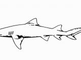 Bull Shark Coloring Page 6126 Shark Free Clipart 33