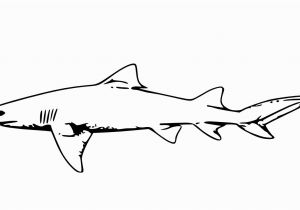 Bull Shark Coloring Page 6126 Shark Free Clipart 33