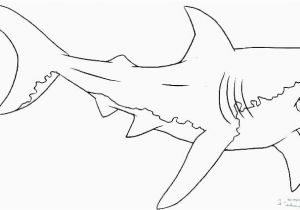 Bull Shark Coloring Page Elegant Coloring Pages Shark to Print Picolour