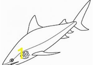 Bull Shark Coloring Page Zebra Shark Coloring Pages