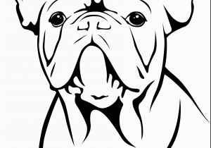 Bulldog Coloring Pages Yorkie Coloring Pages Lovely Bulldog Coloring Pages Beautiful Cool