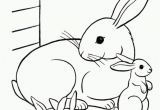 Bunny Coloring Pages Free Bunny Coloring Pages Best Coloring Pages for Kids