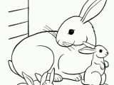 Bunny Coloring Pages Free Bunny Coloring Pages Best Coloring Pages for Kids