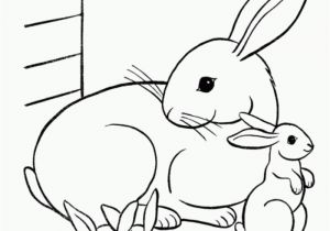 Bunny Coloring Pages Free Bunny Coloring Pages Best Coloring Pages for Kids