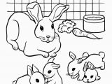 Bunny Coloring Pages Printable House Pets Coloring Pages