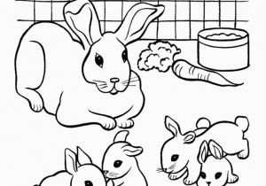 Bunny Coloring Pages Printable House Pets Coloring Pages