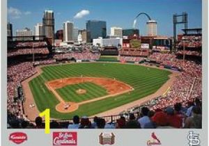 Busch Stadium Wall Mural 44 Best Preslee S Bedroom Images