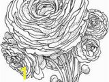 Buttercup Flower Coloring Pages 2623 Besten Flower Coloring Bilder Auf Pinterest