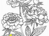 Buttercup Flower Coloring Pages 3161 Best Printables Floral and Plant Life Images In 2019