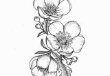 Buttercup Flower Coloring Pages Custom buttercup Illustration Tattoo for Greer by themintgardener