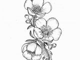 Buttercup Flower Coloring Pages Custom buttercup Illustration Tattoo for Greer by themintgardener