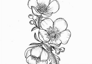 Buttercup Flower Coloring Pages Custom buttercup Illustration Tattoo for Greer by themintgardener