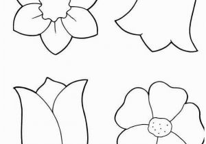 Buttercup Flower Coloring Pages the What is the Flower for November that Wins Customers