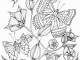 Butterflies and Flowers Coloring Pages for Adults butterflies by Welshpixie On Deviantart