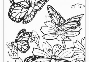 Butterflies and Flowers Coloring Pages for Adults butterfly Coloring Pages and Other Free Printable Coloring