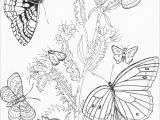 Butterflies and Flowers Coloring Pages for Adults butterfly Coloring Pages Coloringbay