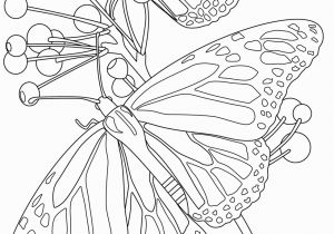 Butterflies and Flowers Coloring Pages for Adults butterfly Coloring Pages