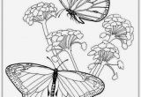 Butterflies and Flowers Coloring Pages for Adults butterfly Flower Drawing at Getdrawings