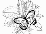 Butterflies and Flowers Coloring Pages for Adults Coloring Pages Flowers Coloring Pages butterfly and