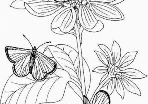 Butterflies Coloring Pages butterflies Coloring Pages butterfly Coloring Pages Unique Crayola