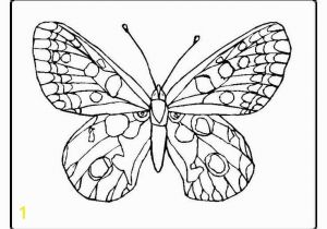 Butterflies Coloring Pages butterfly Coloring Pages butterfly Coloring Pages Unique Crayola