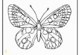 Butterfly Color Pages butterfly Coloring Pages