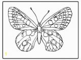 Butterfly Color Pages butterfly Coloring Pages