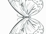 Butterfly Coloring Pages Print 28 Coloring Pages butterflies