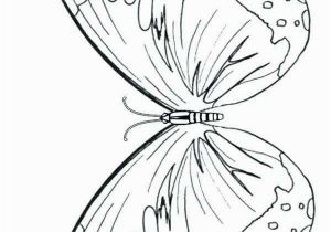Butterfly Coloring Pages Print 28 Coloring Pages butterflies