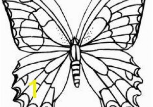 Butterfly Coloring Pages Print 523 Best butterflies to Color Images