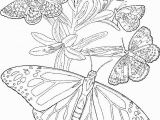 Butterfly Coloring Pages Print Free Printable Adult butterfly Coloring Page