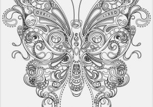Butterfly Mandala Coloring Pages Coloring Pages to Print Out Color butterfly at Coloring Pages