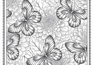 Butterfly Mandala Coloring Pages Garden Coloring Pages