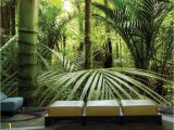 Buy Wall Mural Online forªt Tropicale 12 X 8 3 66m X 2 44m