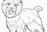 Cairn Terrier Coloring Pages 1024 Best Love Cairn Terriers Images On Pinterest