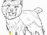 Cairn Terrier Coloring Pages 1024 Best Love Cairn Terriers Images On Pinterest