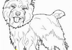 Cairn Terrier Coloring Pages 1024 Best Love Cairn Terriers Images On Pinterest