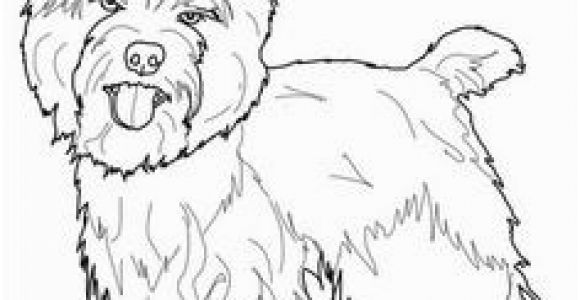 Cairn Terrier Coloring Pages 1024 Best Love Cairn Terriers Images On Pinterest