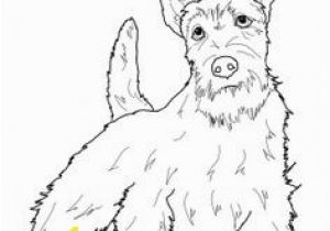 Cairn Terrier Coloring Pages 217 Best Dogs to Color Images On Pinterest