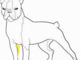 Cairn Terrier Coloring Pages Boston Terrier Coloring Page Bostons 3 Pinterest