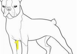 Cairn Terrier Coloring Pages Boston Terrier Coloring Page Bostons 3 Pinterest