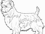 Cairn Terrier Coloring Pages Boston Terrier Coloring Pages at Getcolorings